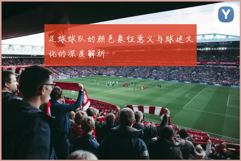 足球球队的颜色象征意义与球迷文化的深度解析