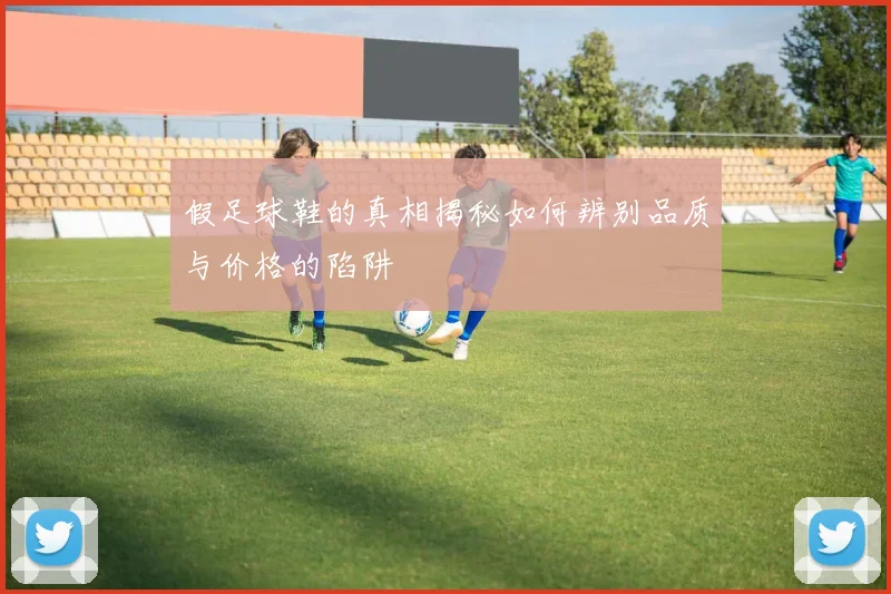 假足球鞋的真相揭秘如何辨别品质与价格的陷阱