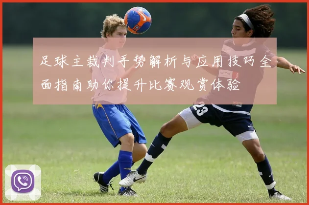 足球主裁判手势解析与应用技巧全面指南助你提升比赛观赏体验