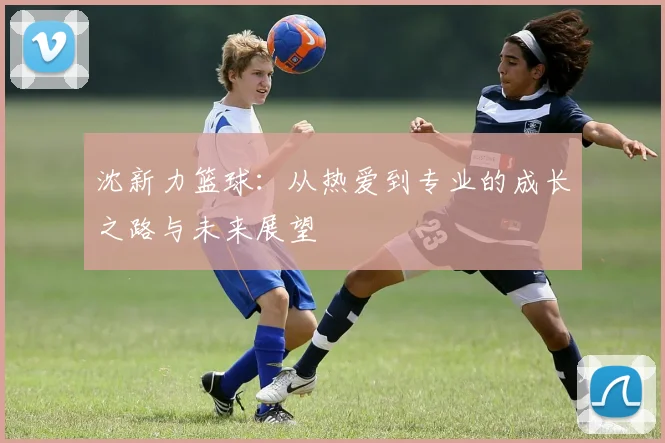 沈新力篮球：从热爱到专业的成长之路与未来展望