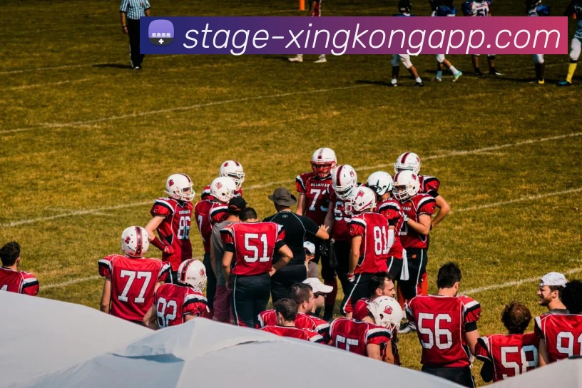 星空体育平台生态图